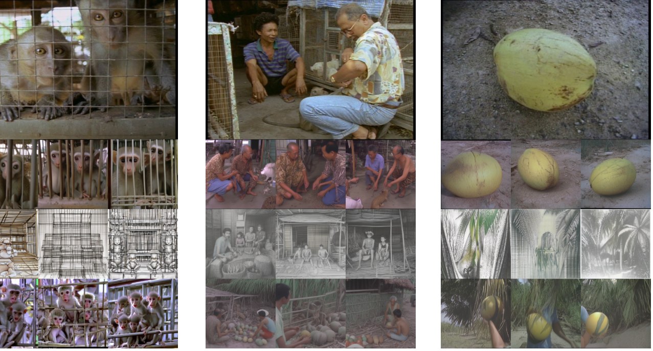Reconstructions of test stimuli. Rows: original frame; reference reconstruction; proposed method; proposed method with diffusion prior.