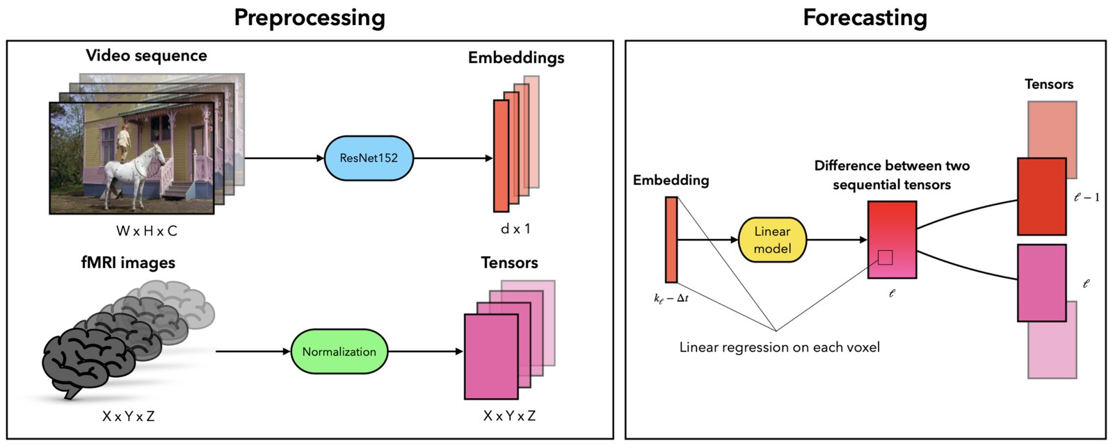 Overview of the method: preprocessing of video and fMRI data, and per-voxel linear forecasting.