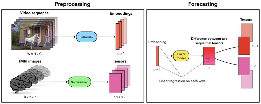 Forecasting fMRI Images From Video Sequences: Linear Model Analysis
