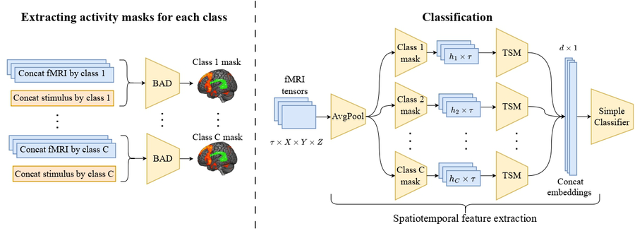 Enhancing fMRI Data Decoding with Spatiotemporal Characteristics in Limited Dataset